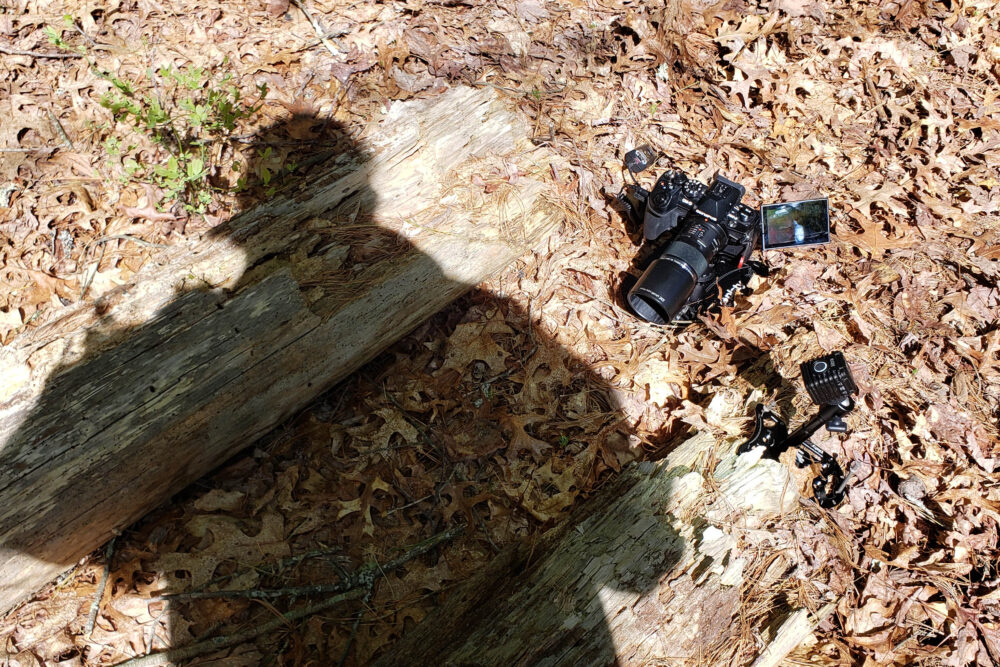 Body casting shadow on scene.